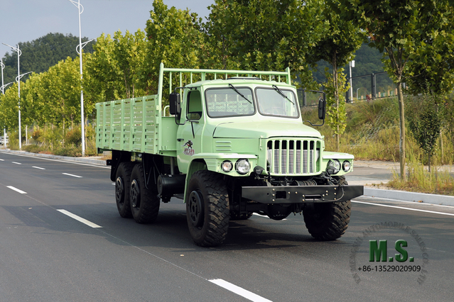 Mint Green 190hp Dongfeng Caminhão fora de estrada com tração nas seis rodas EQ2100 Veículo de transporte AWD de cabeça pontiaguda de fileira única para exportação de veículo para fins especiais