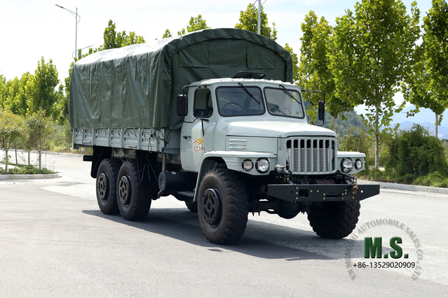 Dongfeng EQ2100 Caminhão fora de estrada de seis unidades_ Caminhão de cabeça pontiaguda de fileira única com postes de lona_ Veículo especial de exportação de veículo 6 × 6