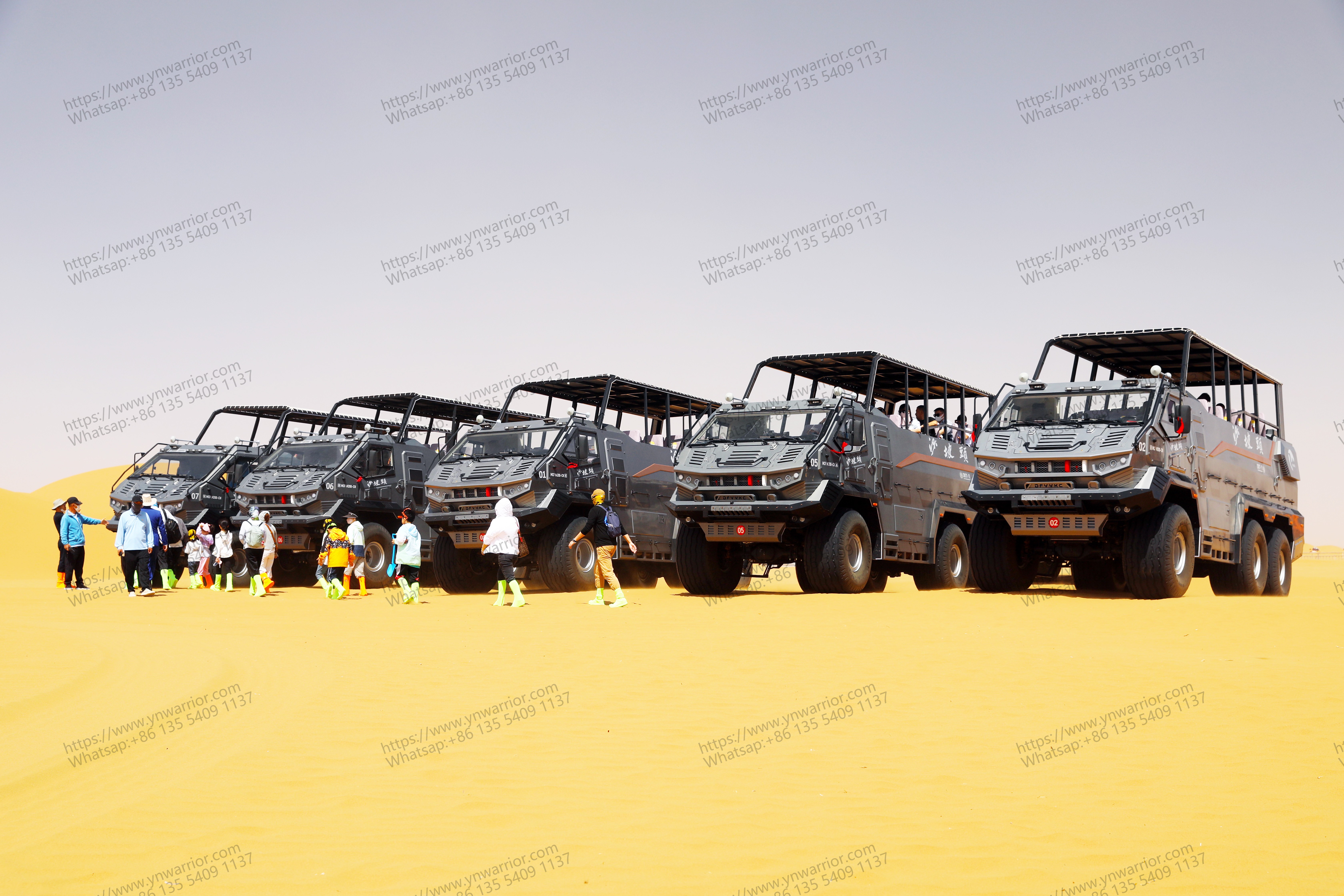 Desert Desert Cruiser Frota tão legal no deserto turismo 