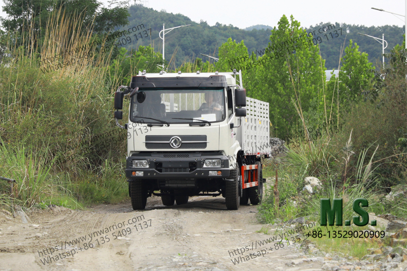Dongfeng Caminhão de carga regular Promoção Real 