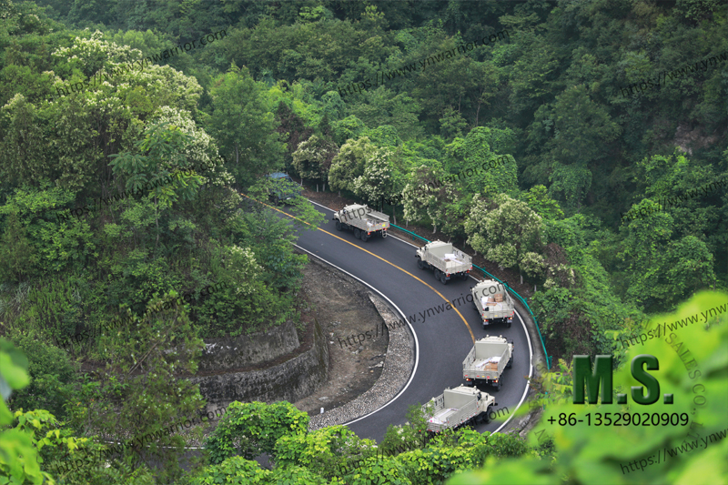 Dongfeng truck fleet 6x6 off-raod 