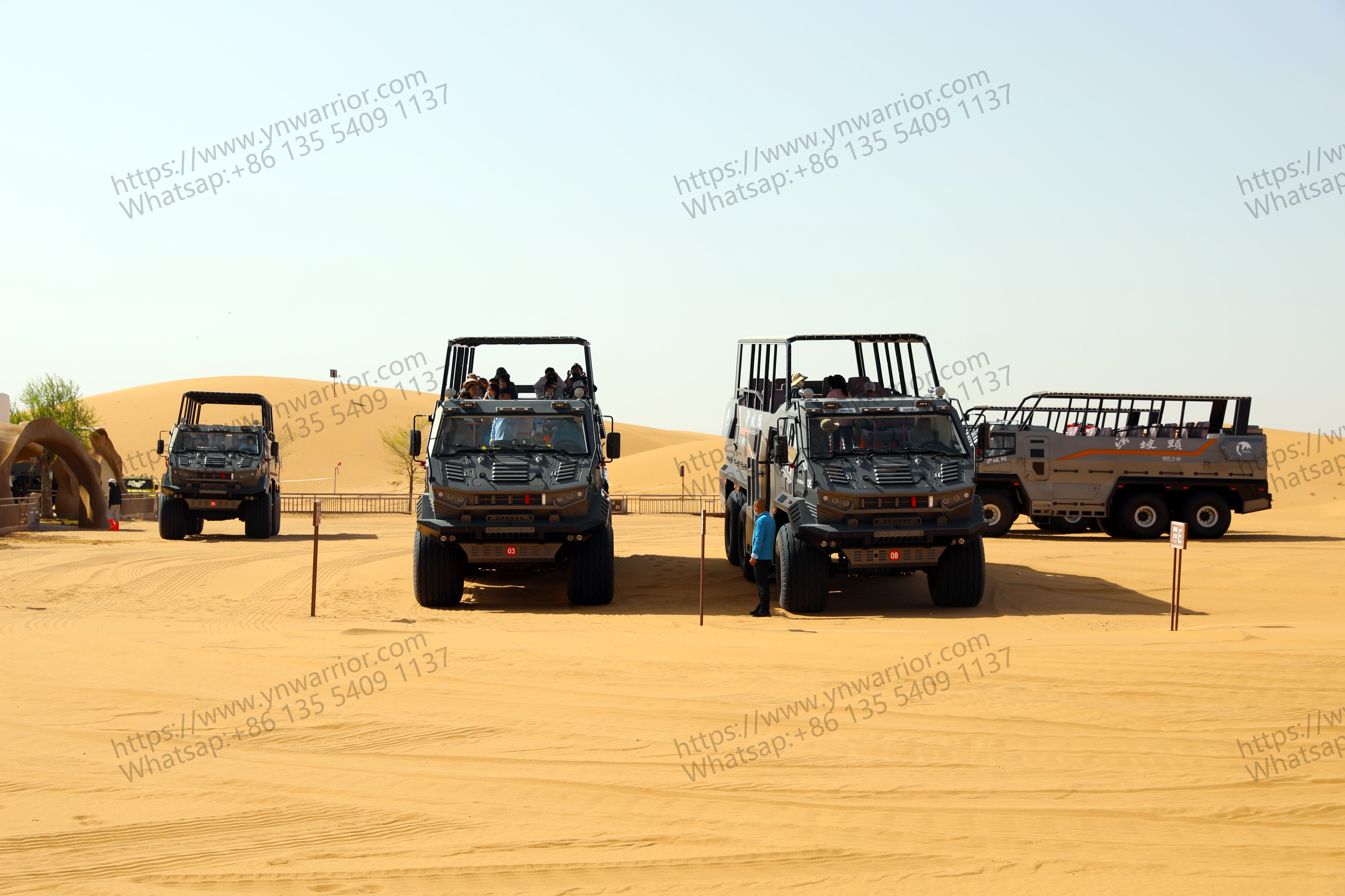 deserto rato de ônibus de cruzeiro na deserto 