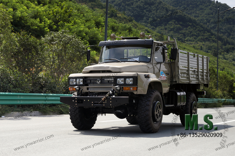 dongfeng classic cargo truck 
