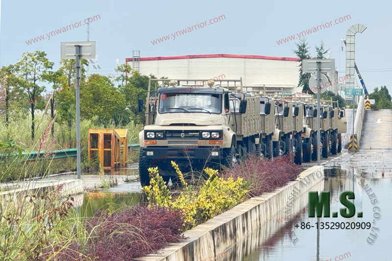 Dongfeng pneu_fleet duplo traseiro de caminhão 4x4 