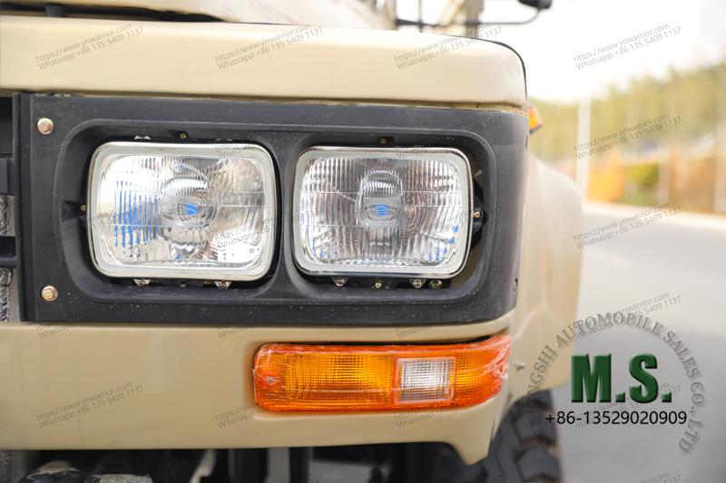 Dongfeng 4x2 Cargo 