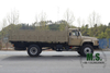 190 cavalos de potência de 15 toneladas de peso bruto Dongfeng 4x2 Cargo Truck_Cummins Motor, tronco de carga de 4700 mm, assentos na caixa de carga, transportadora de tropas, ex-modelo militar.
