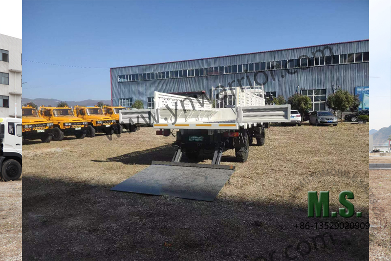 REALIDA Dongfeng caminhão de carga com elevador hidráulico 