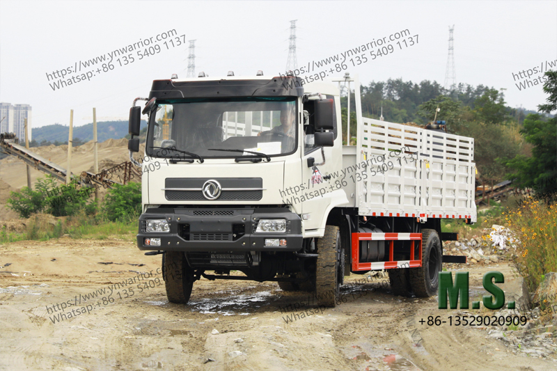 Dongfeng Fabricante de caminhões de carga direta, então tirei várias fotos 