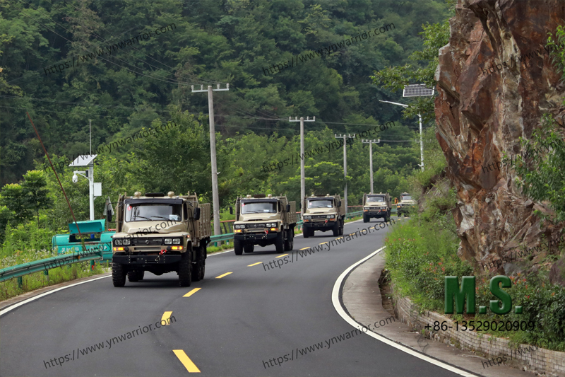 Dongfeng Frota de caminhão imagens reais 
